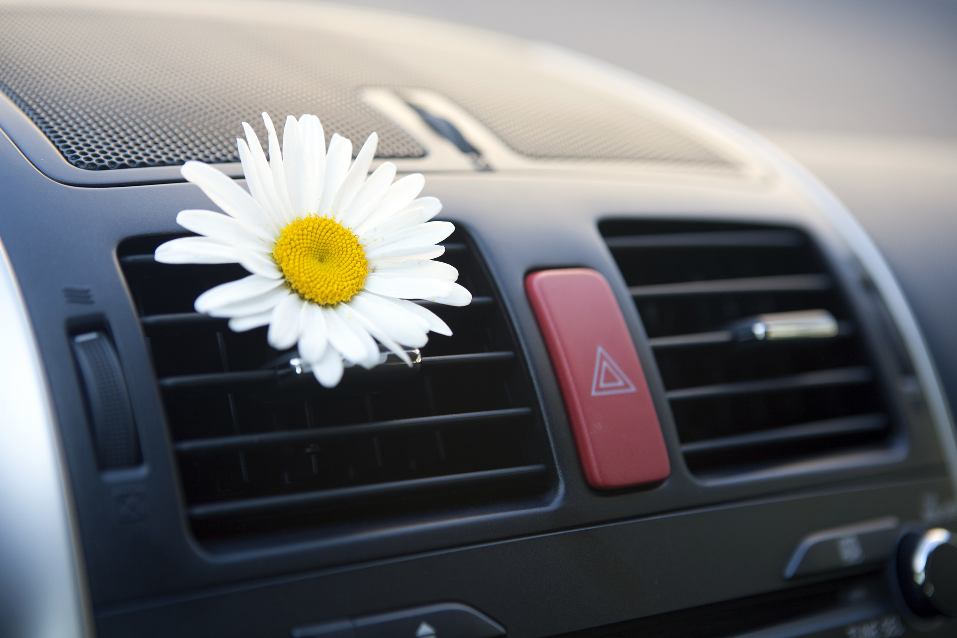 Blomst i et rent luftuttak til air condition i bil